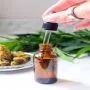TINCTURE