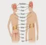 TINCTURES FOR ENDOCRINE SYSTEM AND HORMONAL BALANCE