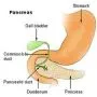 SUPPLEMENTS FOR STOMACH AND GALLBLADDER