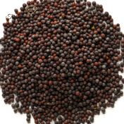 Semi di senape nera, 100 G