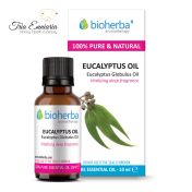 Eucalyptus, huile essentielle pure, 10 ml, Bioherba