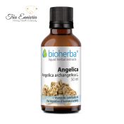 Radice di Angelica, Tintura 50 ml, Bioherba
