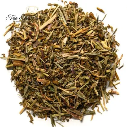 Pasqua (Veronica officinalis) Gambo, 50 città