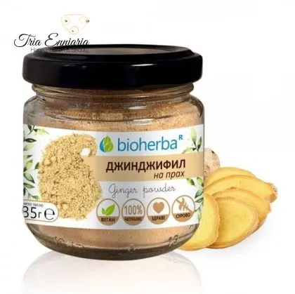 Ingwerpulver, 35 g, Bioherba