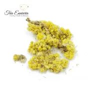 Жълт Смил, Безсмъртниче (Helichrysum arenarium)  Цвят, 50 гр