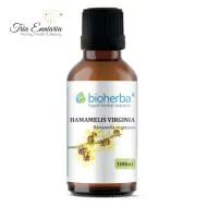 Hamamelis Virginia Tinktur, 100 ml, Bioherba