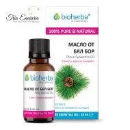 Белая Сосна, Чистое Эфирное Масло, 10 мл, Bioherba