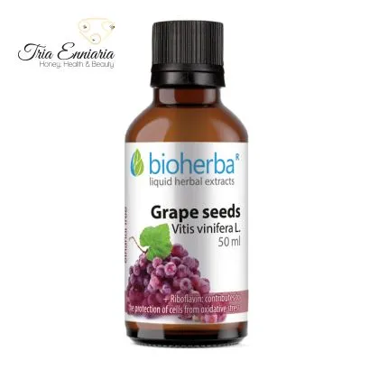 Σπόροι Σταφυλιών Βάμμα, 50 μλ, Bioherba