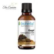 Гугул Тинктура, 50 мл, Bioherba