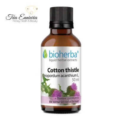 Teinture De Millepertuis, 50 ml, Bioherba