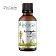 Astragalus Tincture, 50 ml, Bioherba
