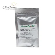 Résine Mastic, 30 g, Pimenta