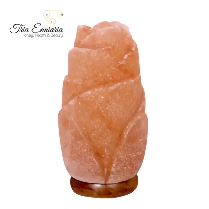 Lampe En Sel Rose De l'Himalaya, 20 cm, M&A Minerals Rainbow
