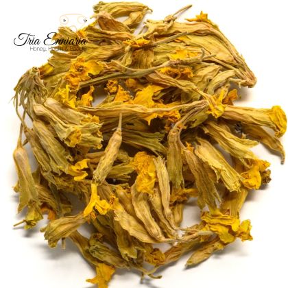 Colore primula, 50 G