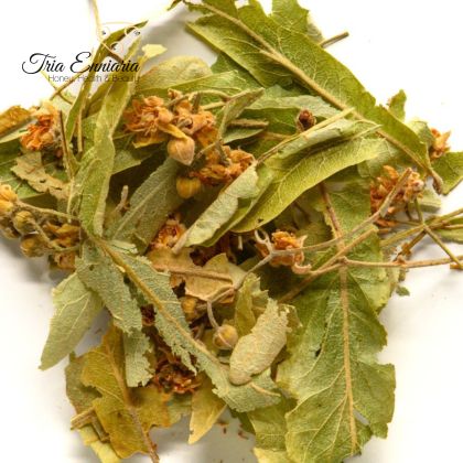 Tilleul (Tilia Cordata Mill.) Colorant, 25 g