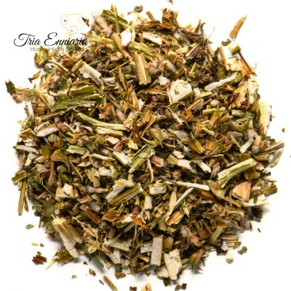 Bouche du diable, (Leonurus Cardiaca) tige, 30 g.