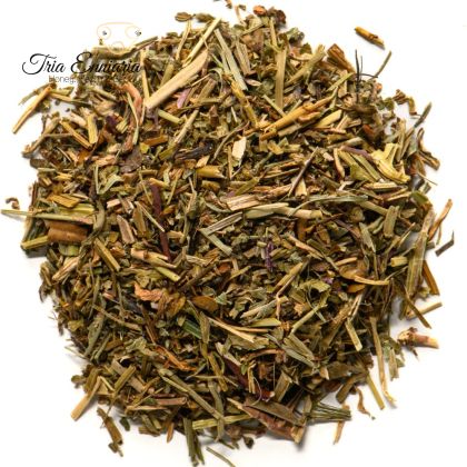 Tige de Pâques (Veronica officinalis), 30 g.