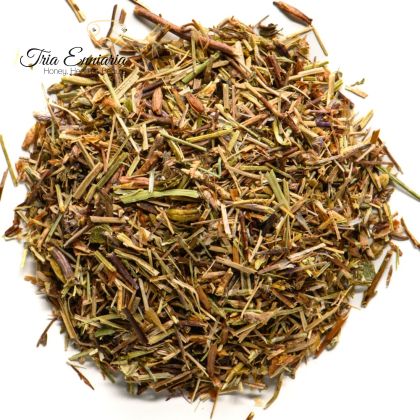 Ochanka (Euphrasia) Stiel 100 g.