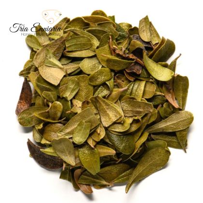 Feuille de vigne mécho, 100 g