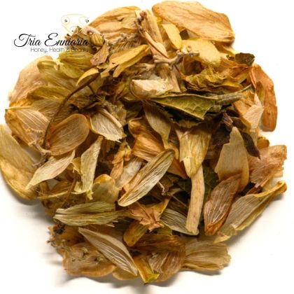 Cônes de Houblon, 50 g