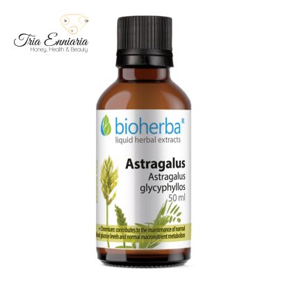 Astragalus Tincture, 50 ml, Bioherba