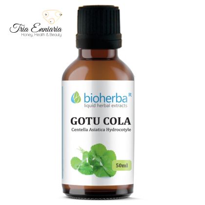 Готу Кола Тинктура, 50 мл, Bioherba 