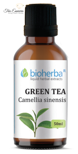 Ceai verde, Tinctura, 50 ml, Bioherba