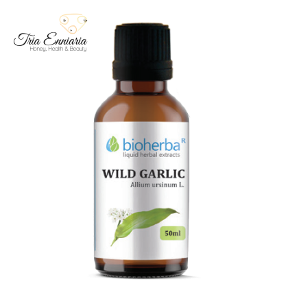 Wild Garlic Tincture, 50 ml, Bioherba