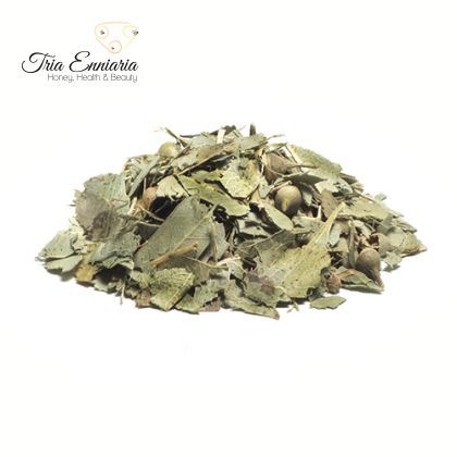 Feuille d'eucalyptus, 100 g, Tria Enniaria