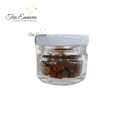 PERGA (PAIN D'ABEILLE) 10 GR