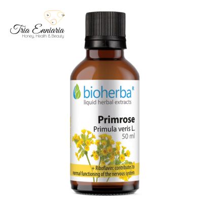 Primel-Tinktur, 50 ml, Bioherba