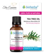 Arbre à thé, huile essentielle pure, 10 ml, Bioherba