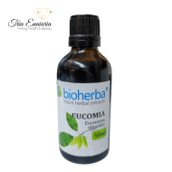 Eucomia Tinctura, 50 ml, Bioherba