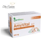 AmyVital B17, 500 mg, 60 Capsules, Zdravnitza