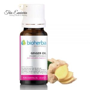 Ingwer, reines ätherisches Öl, 10 ml, Bioherba