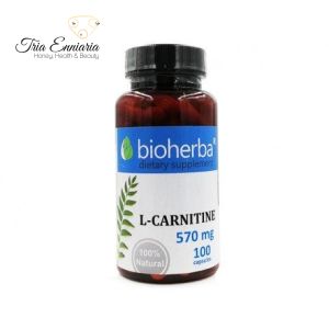 L-Carnitine, pour le sport et la perte de poids, 100 gélules, Bioherba