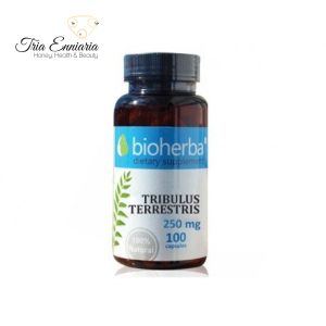 Tribulus Terrestris, ανθρώπινη υποστήριξη, 100 κάψουλες, Bioherba