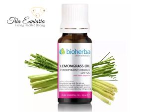 Zitronengras, reines ätherisches Öl, 10 ml, Bioherba