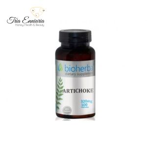 Artischocke, 320 mg, 100 Kapseln, Bioherba