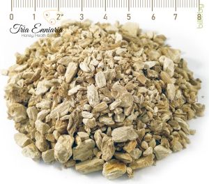 Raifort, racine sèche de Riazan, Armoracia Rusticana, 50 g