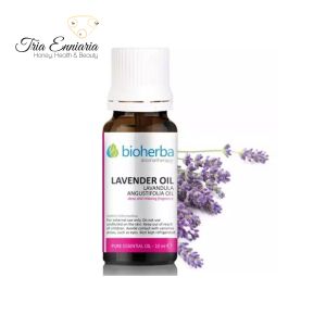 Lavendel, reines ätherisches Öl, 10 ml, Bioherba