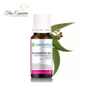Eukalyptus, reines ätherisches Öl, 10 ml, Bioherba