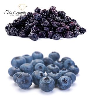 Blueberry, dried fruit without sugar, 200 g