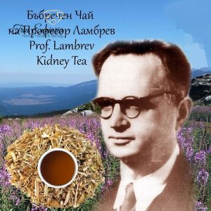 Τσάι Νεφρών Από Τον Καθηγητή Lambrev - Χρησιμοποιείται Σε Νεφρική Νόσο, Κυστίτιδα , 100 γρ