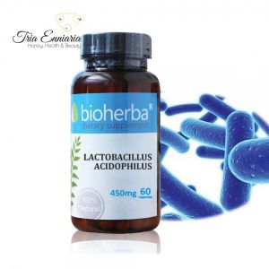 Lactobacillus acidophilus, 450 mg, 60 gélules, Bioherba