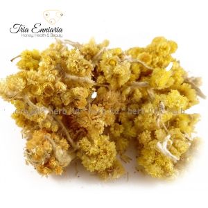 Жълт Смил, Безсмъртниче (Helichrysum arenarium)  Цвят, 50 гр