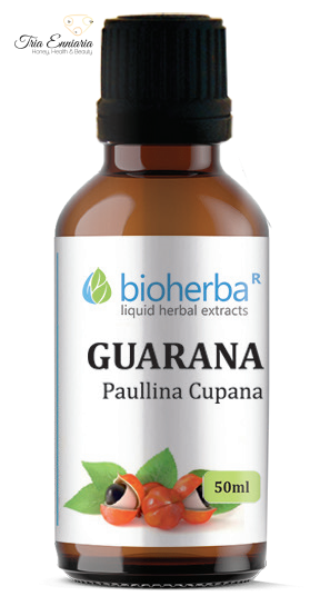 Guarana-Tinktur, 50 ml, Bioherba