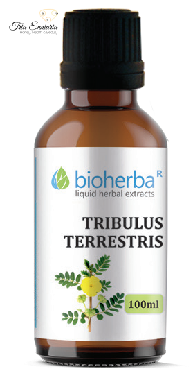 Tribulus Terrestris, Φυτικό Βάμμα , 100 ml