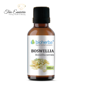 Tinctura Boswellia, 100 ml, Bioherba