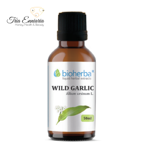 Wild Garlic Tinctura, 50 ml, Bioherba